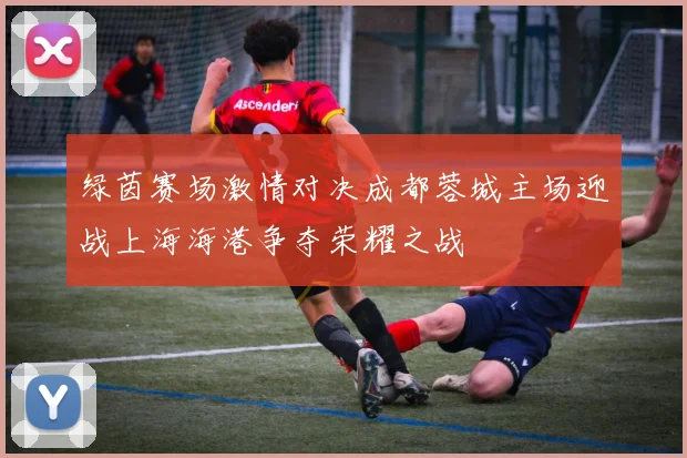 绿茵赛场激情对决成都蓉城主场迎战上海海港争夺荣耀之战